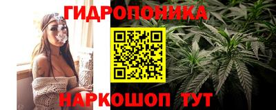 прущие крисы Гай