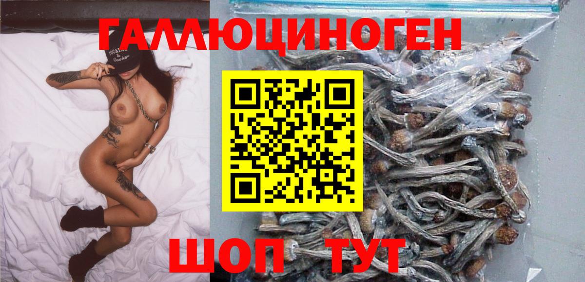 купить закладку  Вход с VPN  Каспийск  Галлюциногенные грибы Psilocybine cubensis 